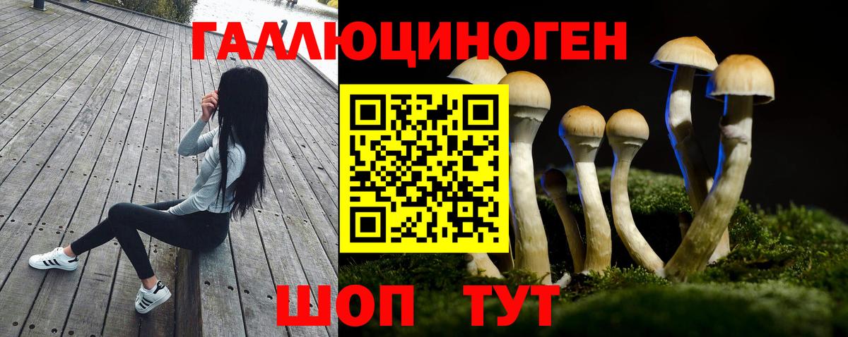 Отрадный  Галлюциногенные грибы Cubensis  Вход с VPN 